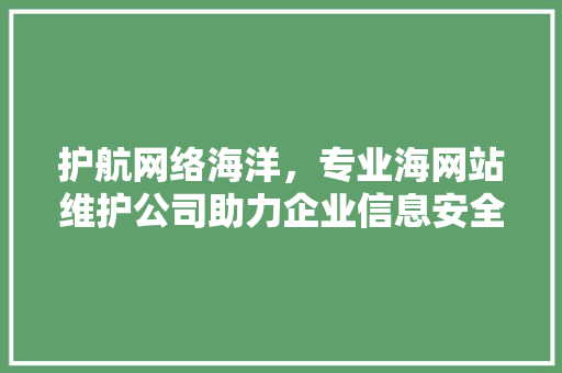 护航网络海洋，专业海网站维护公司助力企业信息安全管理
