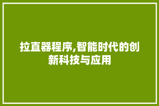 拉直器程序,智能时代的创新科技与应用 拉直器程序,智能时代的创新科技与应用 搜狗SEO