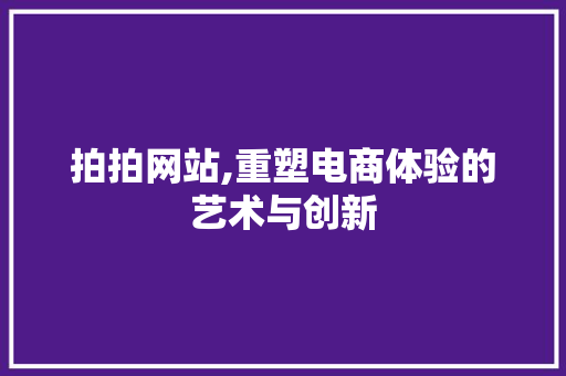 拍拍网站,重塑电商体验的艺术与创新