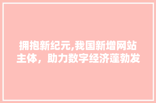 拥抱新纪元,我国新增网站主体，助力数字经济蓬勃发展 拥抱新纪元,我国新增网站主体，助力数字经济蓬勃发展 百度SEO