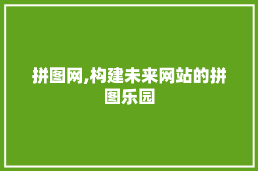 拼图网,构建未来网站的拼图乐园