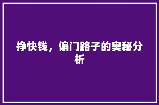 挣快钱，偏门路子的奥秘分析 挣快钱，偏门路子的奥秘分析 SEO关键词