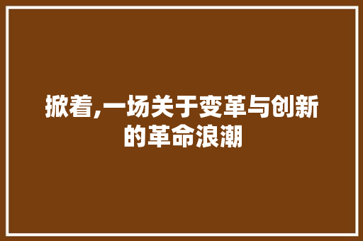 掀着,一场关于变革与创新的革命浪潮 掀着,一场关于变革与创新的革命浪潮 SEO关键词