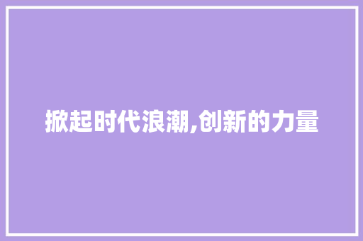 掀起时代浪潮,创新的力量 掀起时代浪潮,创新的力量 网站建设公司