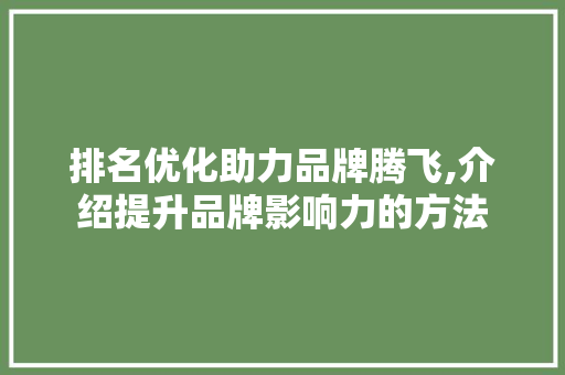 排名优化助力品牌腾飞,介绍提升品牌影响力的方法 排名优化助力品牌腾飞,介绍提升品牌影响力的方法 必应SEO