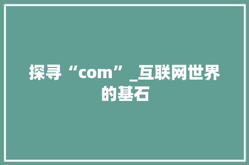 探寻“com”_互联网世界的基石 探寻“com”_互联网世界的基石 百度SEO