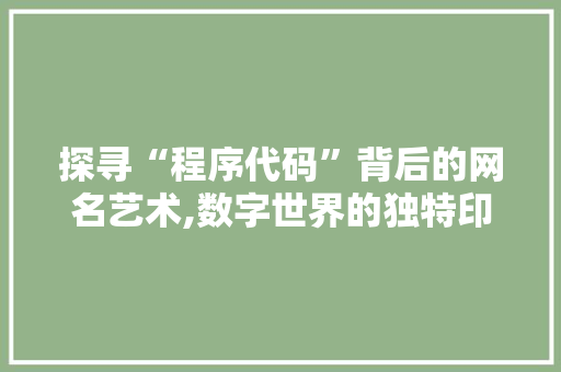 探寻“程序代码”背后的网名艺术,数字世界的独特印记 探寻“程序代码”背后的网名艺术,数字世界的独特印记 必应SEO