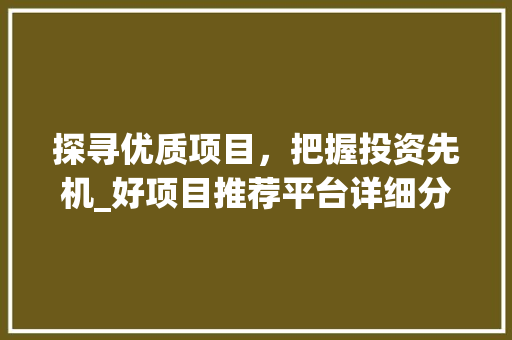 探寻优质项目，把握投资先机_好项目推荐平台详细分析
