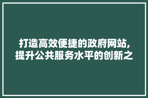 打造高效便捷的政府网站,提升公共服务水平的创新之路