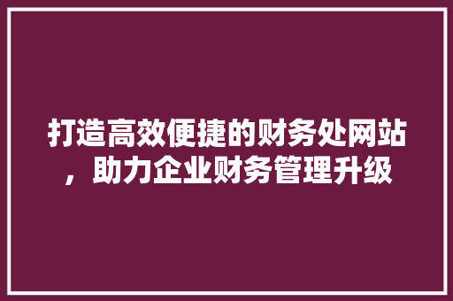 打造高效便捷的财务处网站，助力企业财务管理升级 打造高效便捷的财务处网站，助力企业财务管理升级 百度SEO