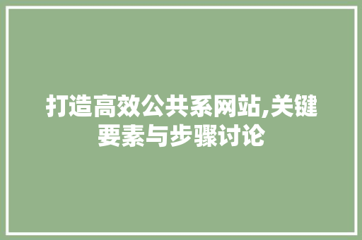 打造高效公共系网站,关键要素与步骤讨论