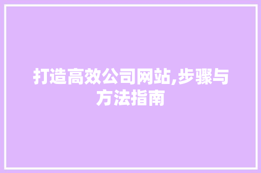 打造高效公司网站,步骤与方法指南