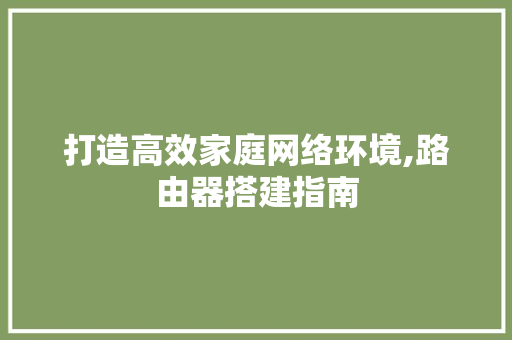 打造高效家庭网络环境,路由器搭建指南