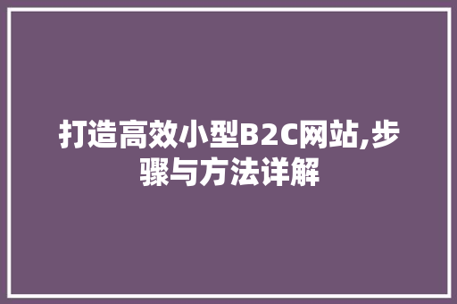 打造高效小型B2C网站,步骤与方法详解 打造高效小型B2C网站,步骤与方法详解 神马SEO