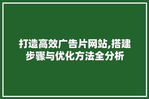 打造高效广告片网站,搭建步骤与优化方法全分析