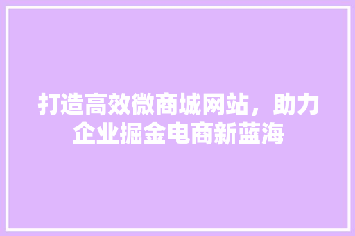 打造高效微商城网站，助力企业掘金电商新蓝海 打造高效微商城网站，助力企业掘金电商新蓝海 神马SEO