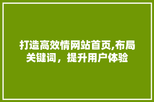 打造高效情网站首页,布局关键词，提升用户体验