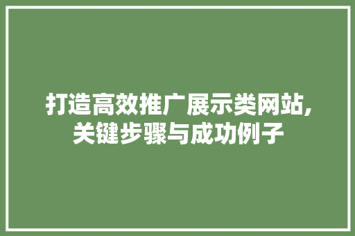 打造高效推广展示类网站,关键步骤与成功例子