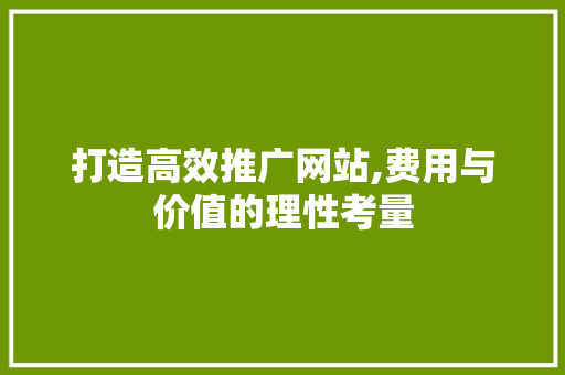 打造高效推广网站,费用与价值的理性考量