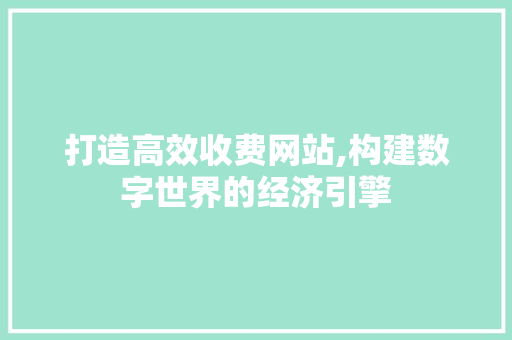 打造高效收费网站,构建数字世界的经济引擎