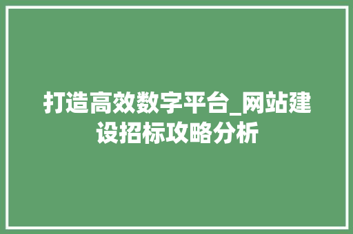 打造高效数字平台_网站建设招标攻略分析