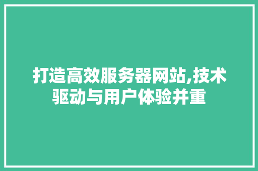 打造高效服务器网站,技术驱动与用户体验并重