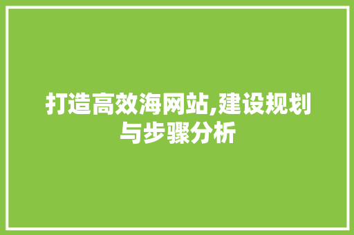 打造高效海网站,建设规划与步骤分析