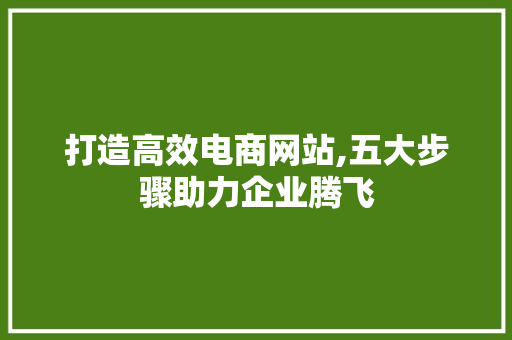 打造高效电商网站,五大步骤助力企业腾飞