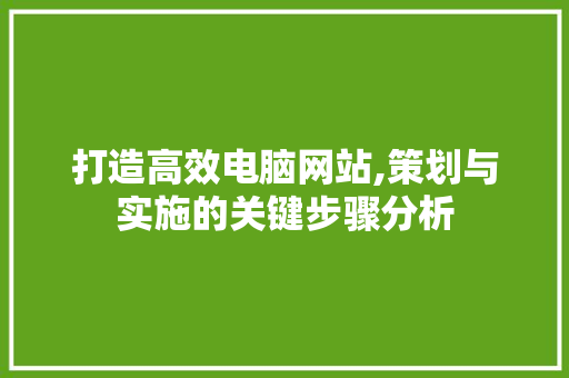 打造高效电脑网站,策划与实施的关键步骤分析