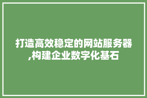 打造高效稳定的网站服务器,构建企业数字化基石