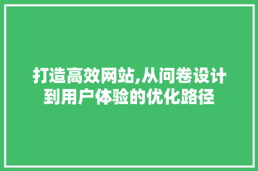 打造高效网站,从问卷设计到用户体验的优化路径