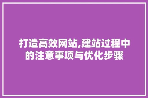 打造高效网站,建站过程中的注意事项与优化步骤