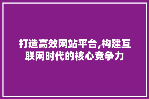 打造高效网站平台,构建互联网时代的核心竞争力