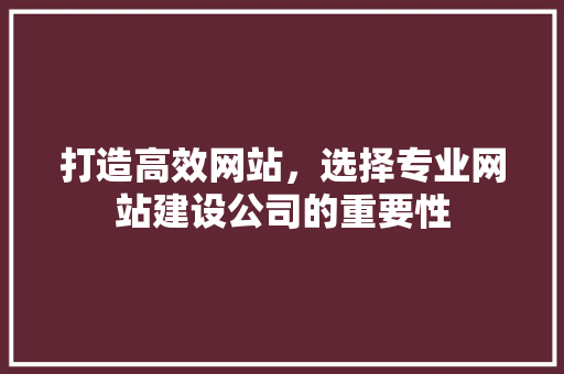 打造高效网站，选择专业网站建设公司的重要性 打造高效网站，选择专业网站建设公司的重要性 神马SEO