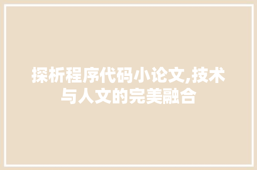 探析程序代码小论文,技术与人文的完美融合