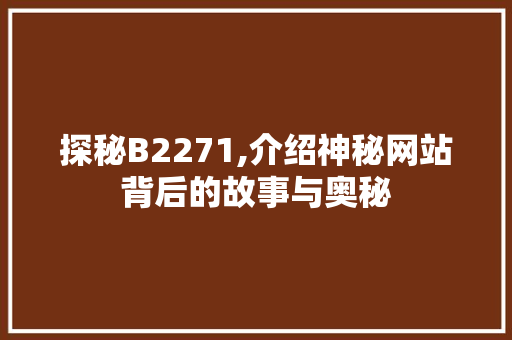探秘B2271,介绍神秘网站背后的故事与奥秘