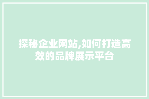 探秘企业网站,如何打造高效的品牌展示平台