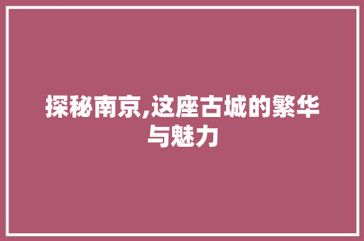 探秘南京,这座古城的繁华与魅力 探秘南京,这座古城的繁华与魅力 SEO关键词