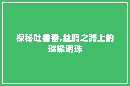 探秘吐鲁番,丝绸之路上的璀璨明珠