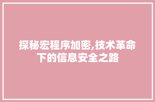 探秘宏程序加密,技术革命下的信息安全之路