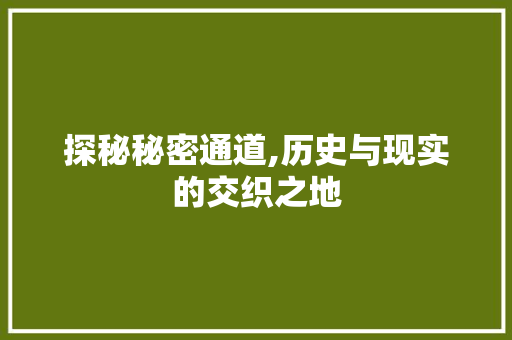 探秘秘密通道,历史与现实的交织之地