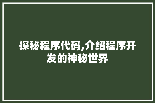 探秘程序代码,介绍程序开发的神秘世界