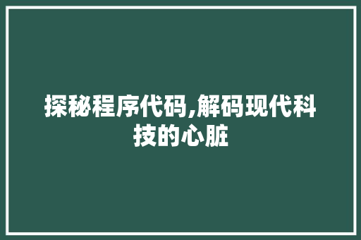 探秘程序代码,解码现代科技的心脏