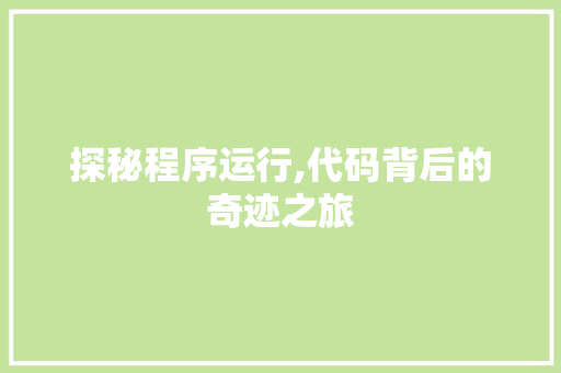 探秘程序运行,代码背后的奇迹之旅