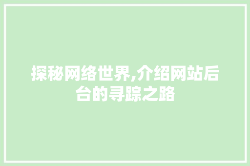 探秘网络世界,介绍网站后台的寻踪之路