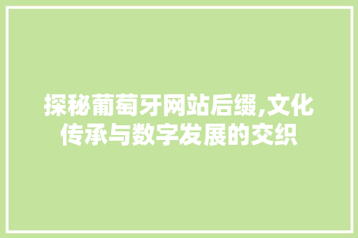探秘葡萄牙网站后缀,文化传承与数字发展的交织