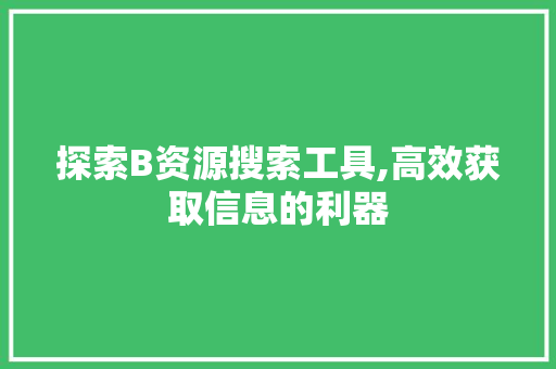 探索B资源搜索工具,高效获取信息的利器
