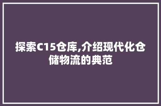 探索C15仓库,介绍现代化仓储物流的典范