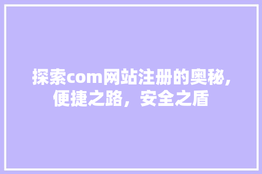 探索com网站注册的奥秘,便捷之路，安全之盾
