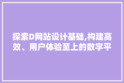 探索D网站设计基础,构建高效、用户体验至上的数字平台